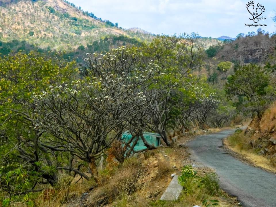 On the way to Muthathi On the way to Muthathi