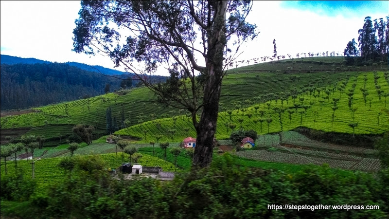 View from Toy Train, Ooty View from Toy Train, Ooty