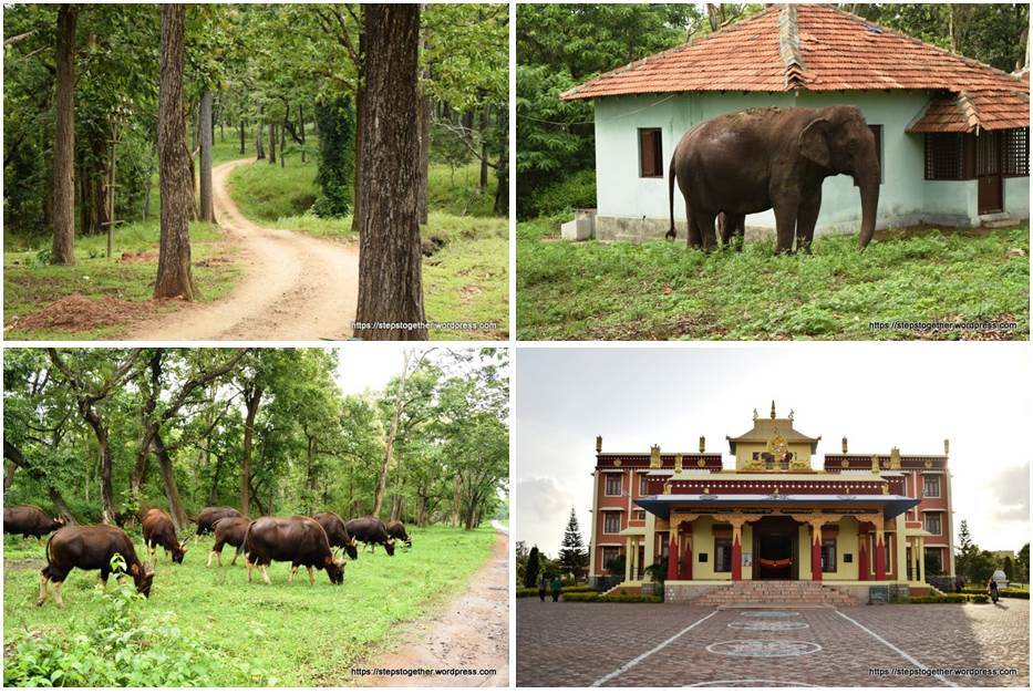 Nagarhole