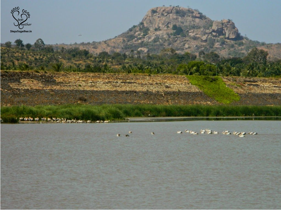 Kanva Kanva
