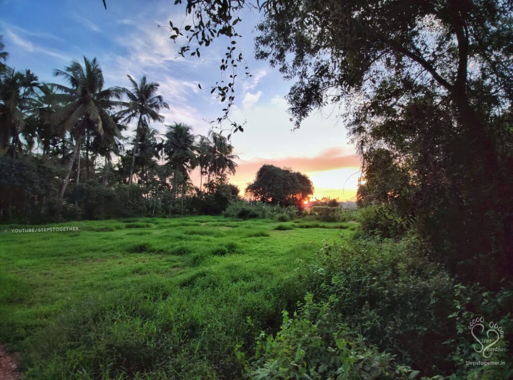 Evening at Aroor