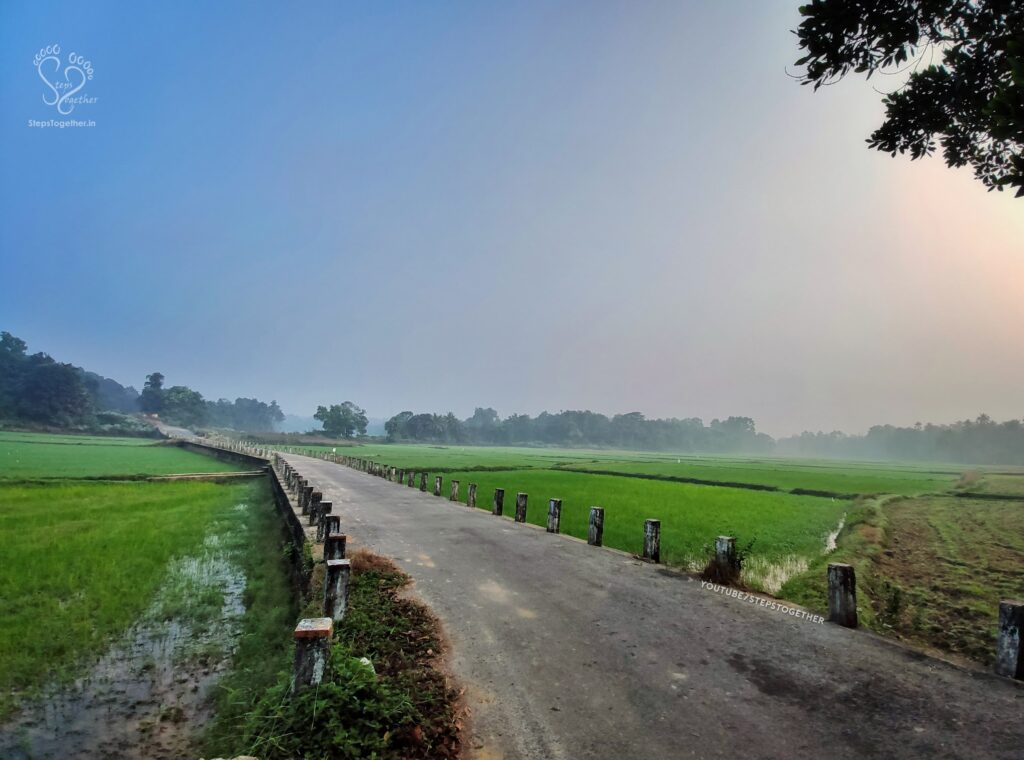 Morning at Aroor
