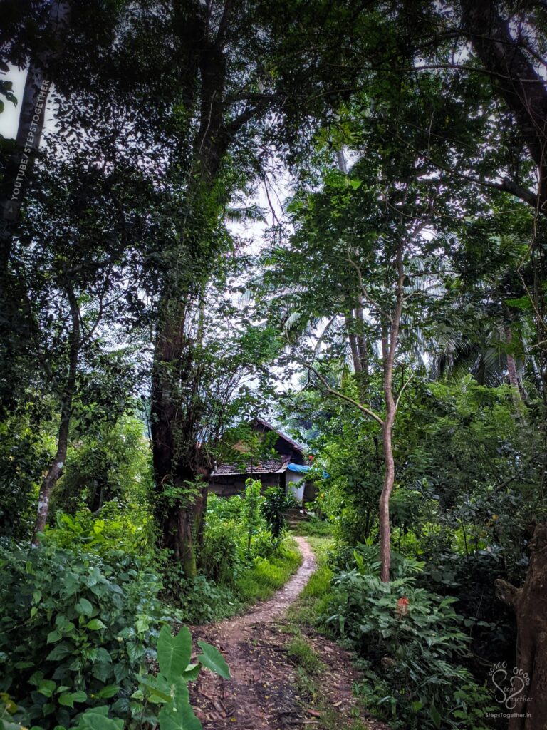 Village life