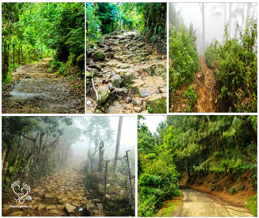 Trek path to Dolphin's Nose Trek path to Dolphin's Nose