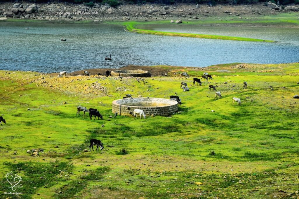 Panchapalli Dam Backwater