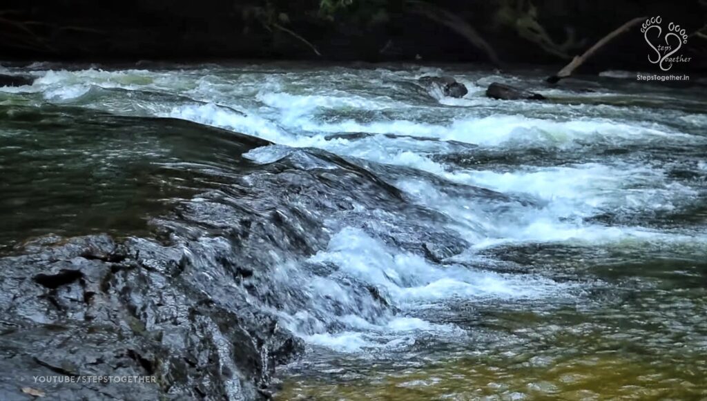 Kaveri River ar Nisargadhama