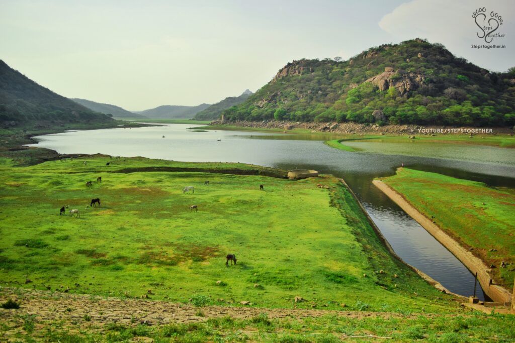 Panchapalli Dam Backwater
